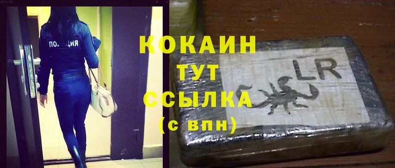 КОКАИН FishScale  даркнет сайт  Буй 